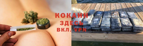 хмурый Алексин