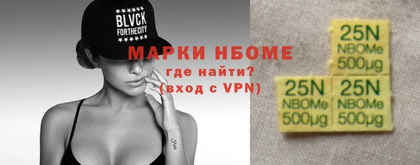 хмурый Алексин