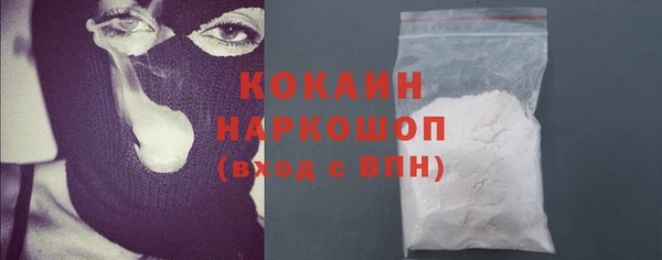 хмурый Алексин