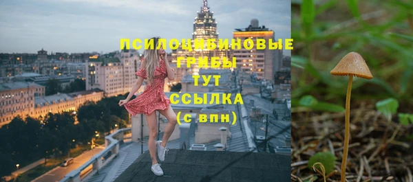 хмурый Алексин