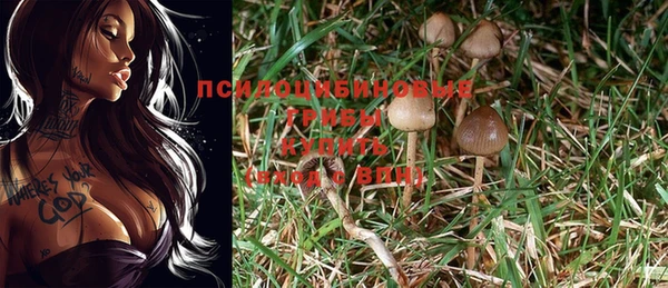 синтетический гашиш Алексеевка