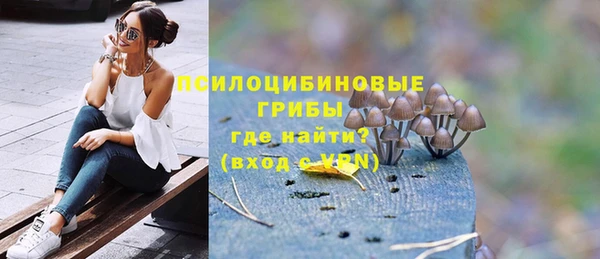 хмурый Алексин