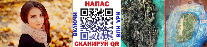 цена   Анива  Конопля OG Kush 